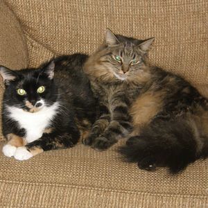 Meet your Posher, Edward